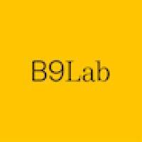 b9lab logo image