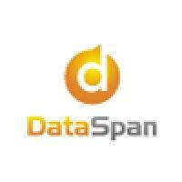 dataspan logo image