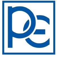 paganini electric corporation logo image