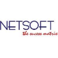 netsoft consulting services (p) ltd logo image