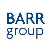 barr group - software expert witness