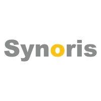 synoris information systems private limited logo image