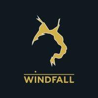 groupe minier windfall logo image