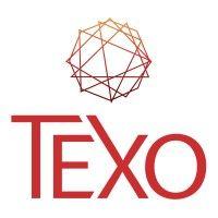 texo erp and retail solutions logo image