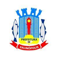 prefeitura municipal de salinópolis logo image