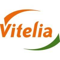 vitelia logo image