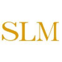 slm - análisis financiero logo image