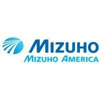 mizuho america, inc. logo image