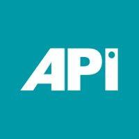 api leisure & lifestyle logo image