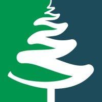 evergreen real estate group logo image