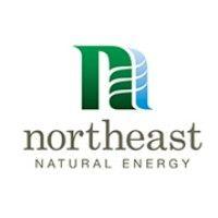 northeast natural energy llc logo image