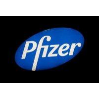 pfizer 21 logo image