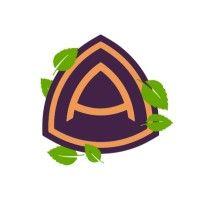 ash token | ash dao logo image