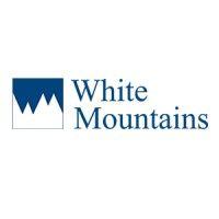 white mountains advisors logo image