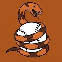 asheboro copperheads logo image