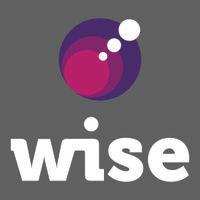 wise logo image