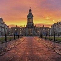 trinity college dublin alumni logo image