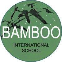 bamboo international school logo image