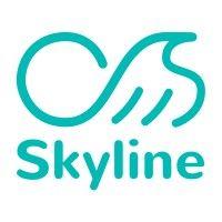 skyline.tw logo image