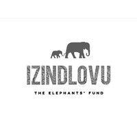 izindlovu fund logo image