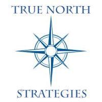 true north strategies logo image