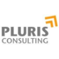 pluris consulting gmbh