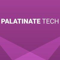 palatinate tech logo image