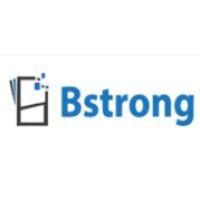 bstrong computers, inc. logo image