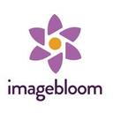 logo of Imagebloom Inc