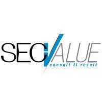 secvalue (acquired by citadel cyber security) logo image