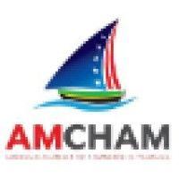 american chamber of commerce in tanzania logo image