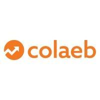 colaeb (collaborate and elevate) logo image