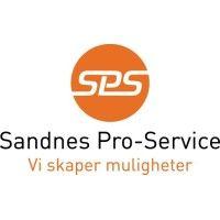 sandnes pro-service as logo image