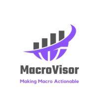 macrovisor logo image