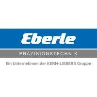 j.n. eberle federnfabrik gmbh logo image