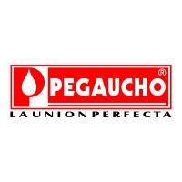 pegaucho logo image