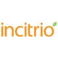 incitrio | a branding & marketing agency logo image