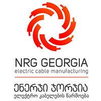 nrg georgia logo image