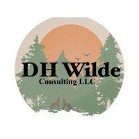 dh wilde consulting