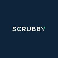 scrubby | complete email validation logo image