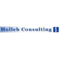 holleb consulting inc. logo image