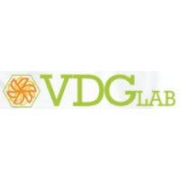 vdglab logo image