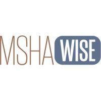 mshawise logo image