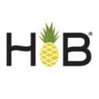 hawaiian bros island grill logo image