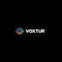 voxtur assessment logo image