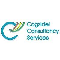 cogzidel consultancy services p ltd logo image