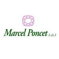 marcel poncet sas logo image