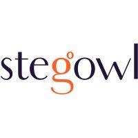 stegowl media labs llp logo image