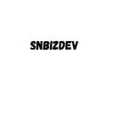 logo of Snbizdev