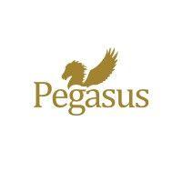 pegasus publishers logo image